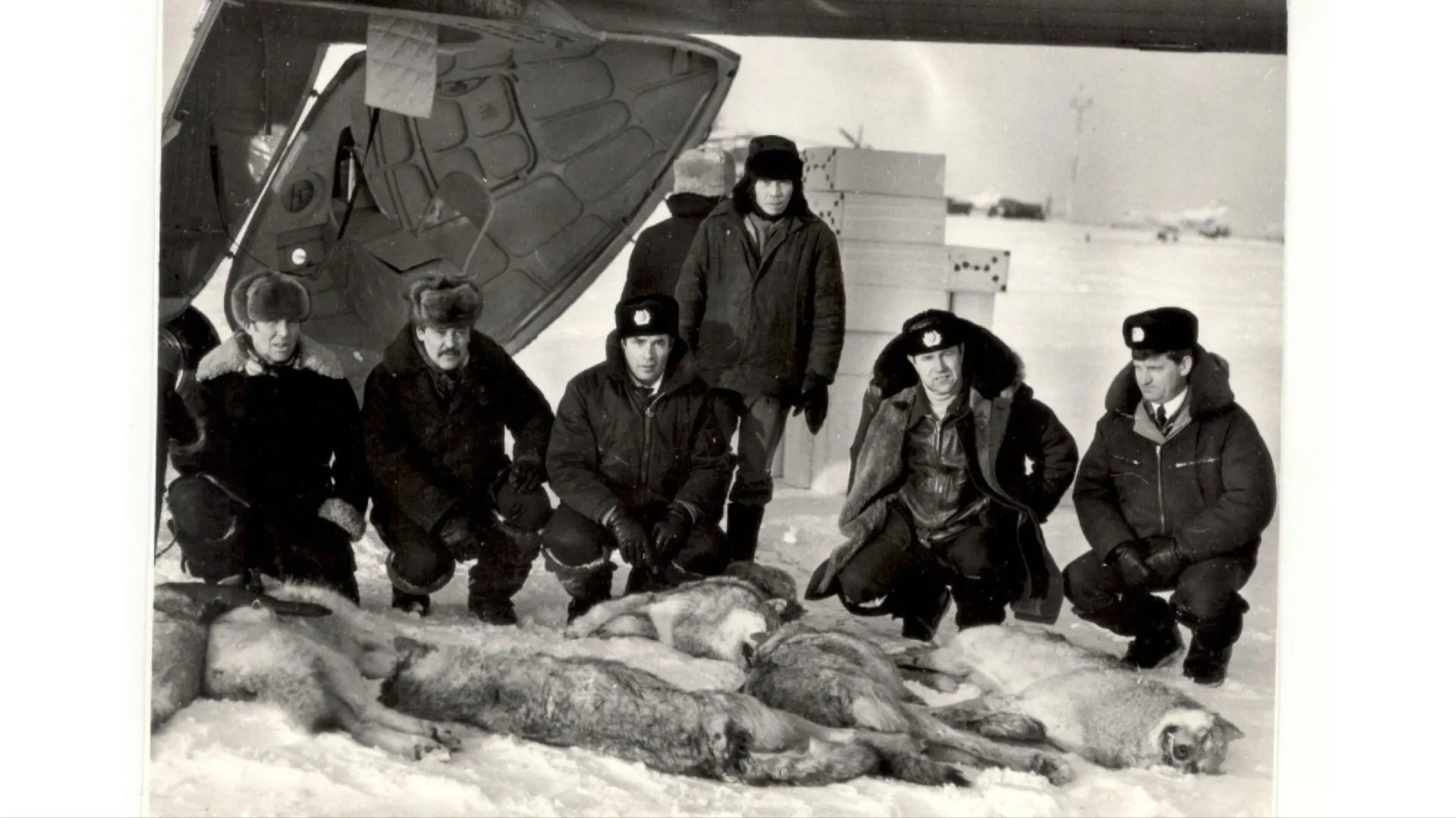 Охота на волков в районе фактории Усть-Юрибей у реки Щучья, 1987 год. Фото: предоставлено из личного архива Анатолия Кудина