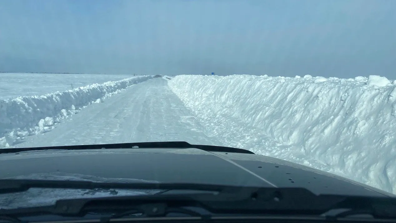 Дорога с отбойниками превращается в Тазовской тундре в туннель. Фото: Анастасия Ульянова/КРАСНЫЙ СЕВЕР