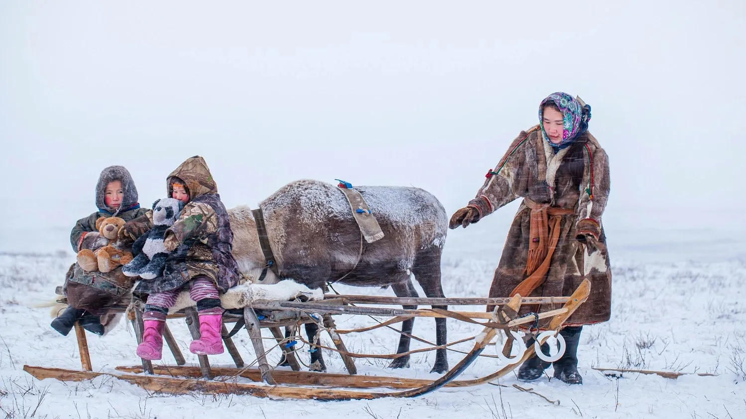 Фото: evgenii mitroshin / shutterstock / Fotodom