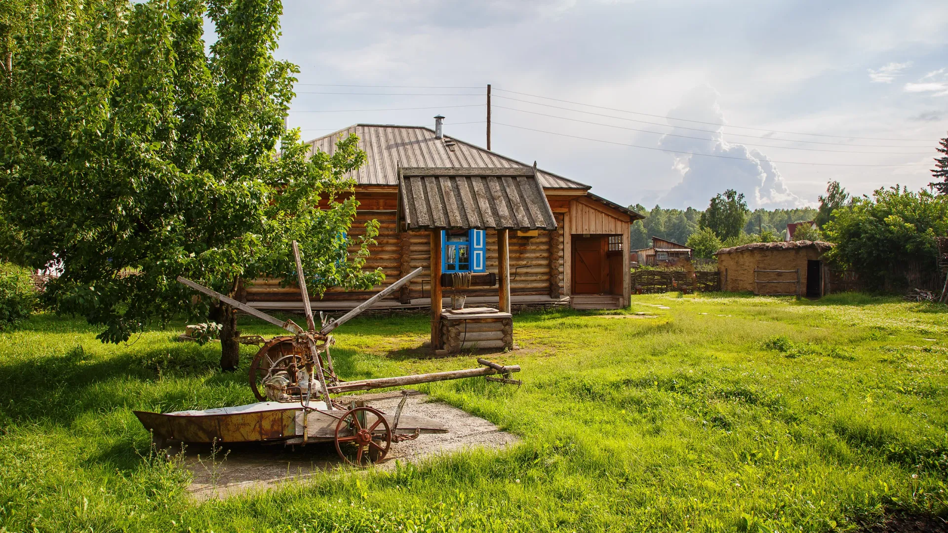 Фото: Timofeev Vladimir / Shutterstock / Fotodom