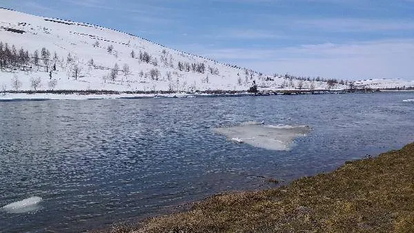 Кто растопит ледяное сердце? Фото: Снежана Волкодав