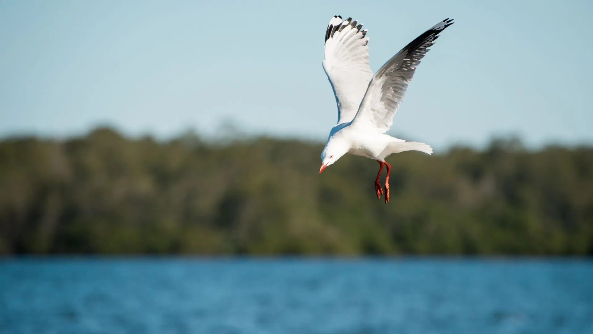 Фото: Always Joy Photography / Shutterstock / Fotodom