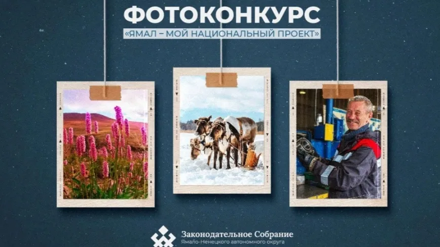 В конкурсных фотокадрах должна быть отражена яркая жизнь Арктического региона. Фото: t.me/ZS_YANAO_89