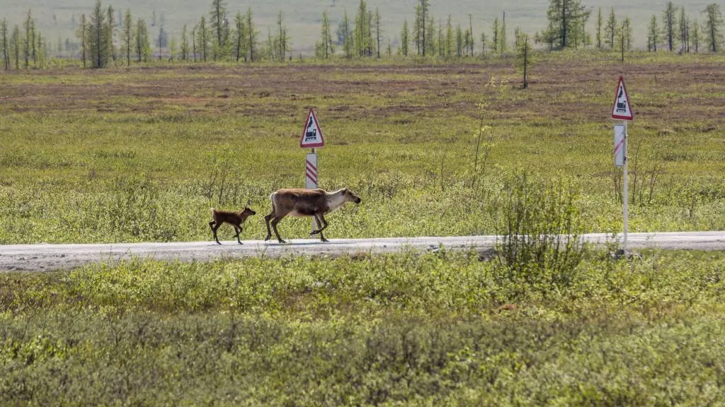 Фото: Андрей Комолов