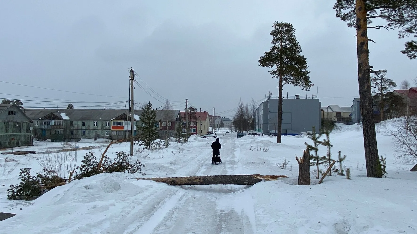 Фото: АНО «Ямал-Медиа»