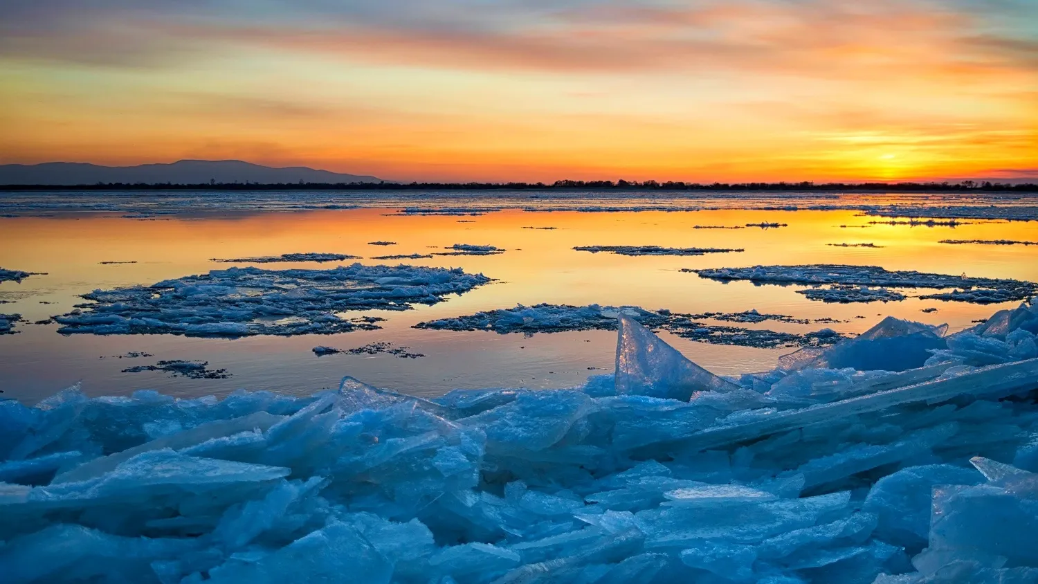 Период паводка на Ямале традиционно приходится на май–июнь. Фото: Konstantin Baidin / shutterstock.com / Fotodom