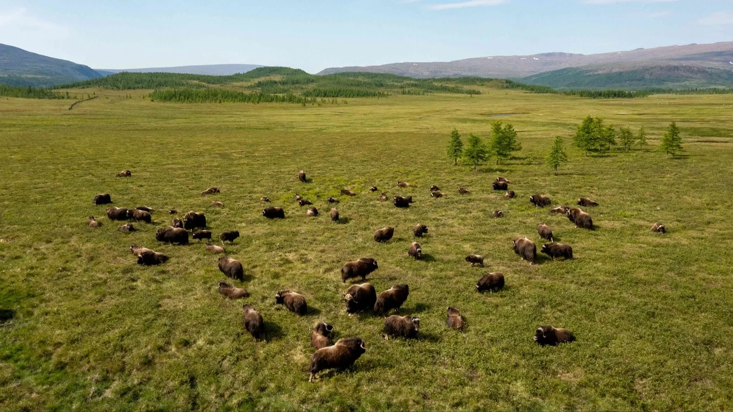 Фото: предоставлено из личного архива Никиты Мамаева