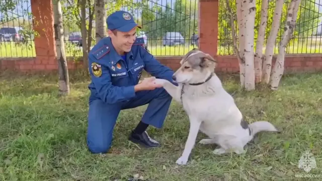 Фото: кадр из видео t.me/gumchsyanao89