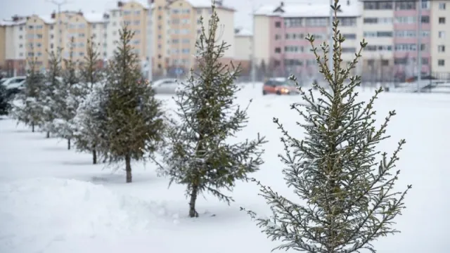 Новые объекты благоустройства делают города и поселки Ямала уютнее. Фото: Сергей Зубков / «Ямал-Медиа»