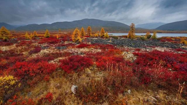 Данный войдут в единую карту вечной мерзлоты. Фото: kaikups  / shutterstock.com / Fotodom