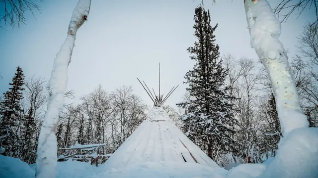 Фото: Юлия Чудинова / ИА "Север-Пресс"