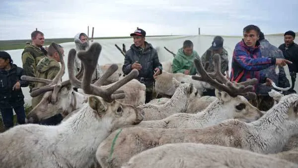 Фото: Павел Разуваев