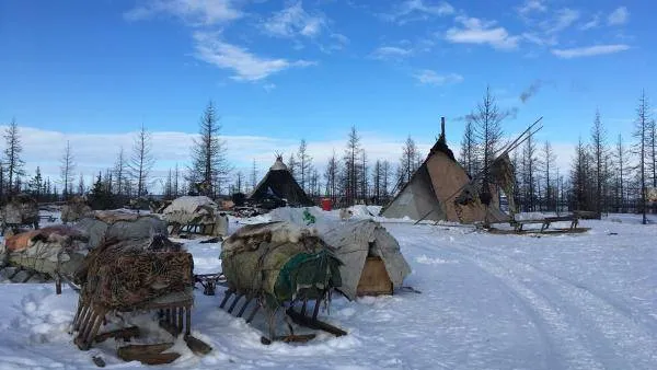 На Ямале для туристов поставят круглогодичный чум, объявят охоту за северным сиянием и отправят на промыслы